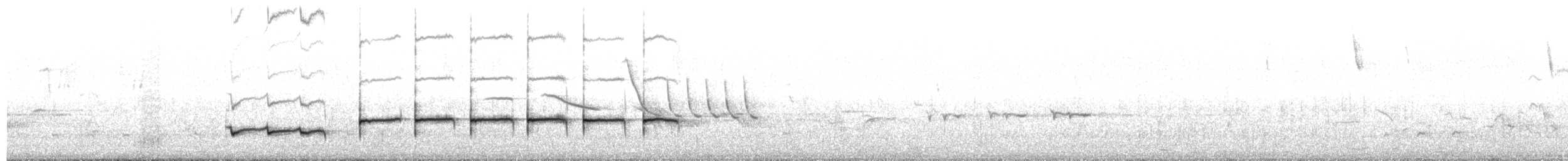 Patagonian Mockingbird - ML650081434