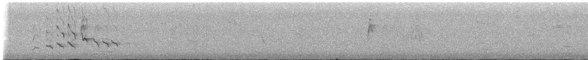 Mielero Carinegro - ML650082100