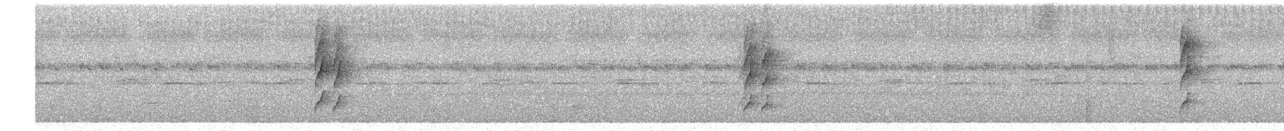 Platyrhynque à moustaches - ML650083971