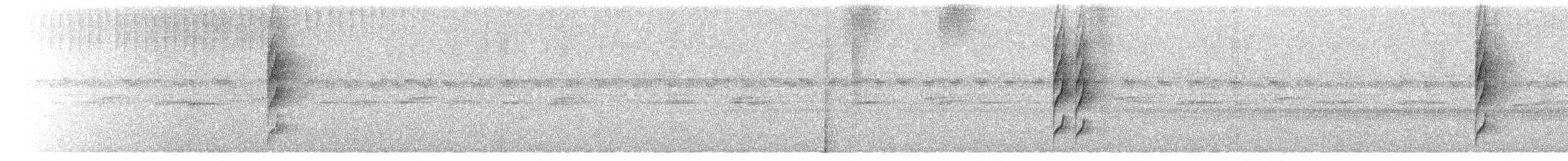 Platyrhynque à moustaches - ML650083999