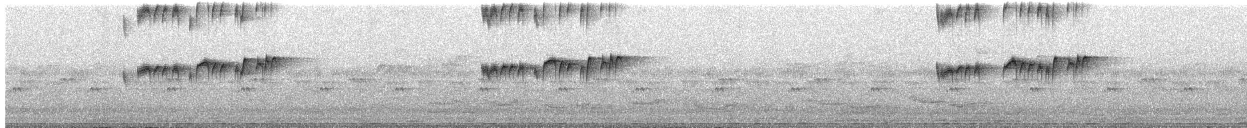 Tropical Kingbird - ML650087496