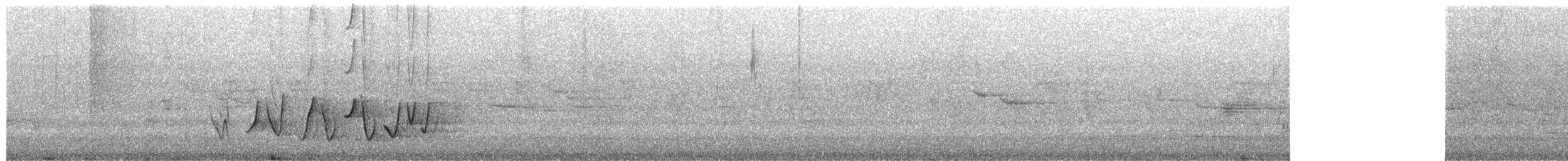 Silbador Rufo - ML650088801