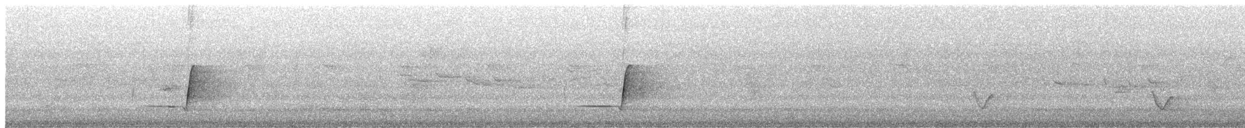 Silbador Rufo - ML650088802