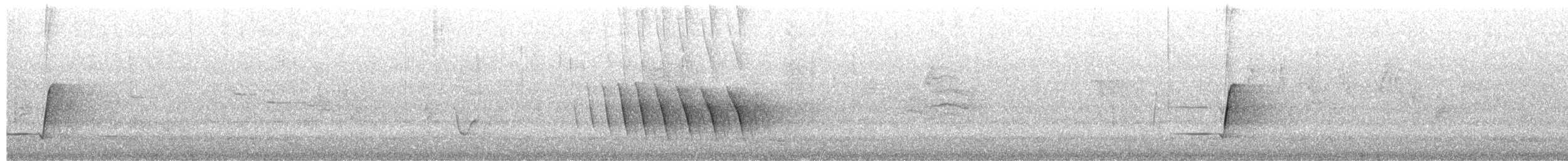 Silbador Rufo - ML650088803