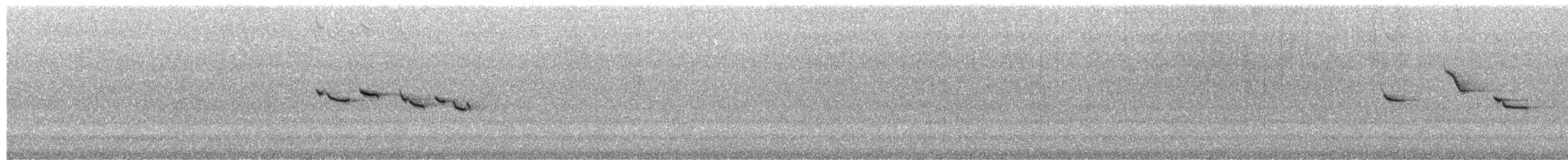 Mielero Escarlata - ML650088826