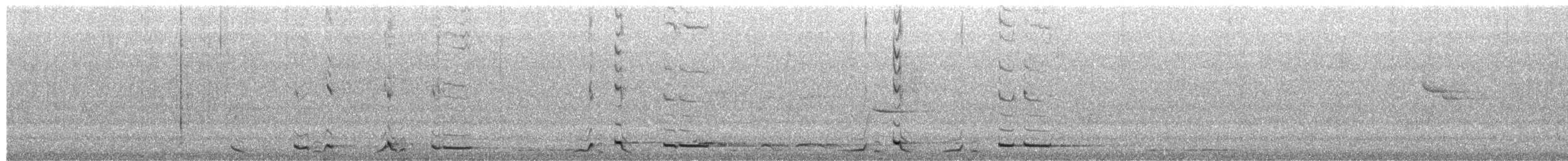 Verdugo Acollarado - ML650088861