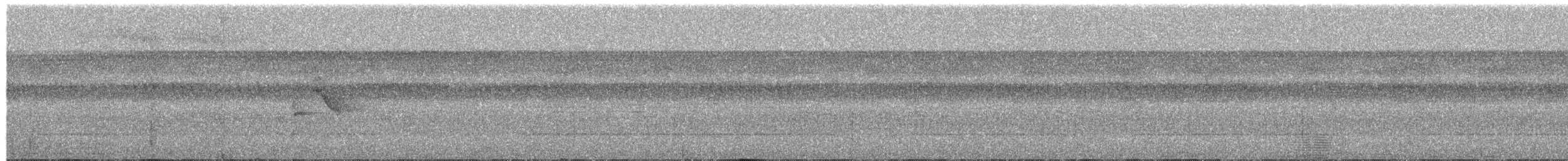 Полосатая пипра - ML650089502