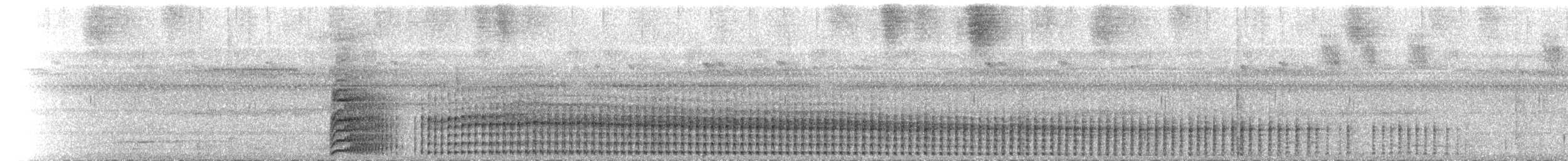 紅腳秧雞 - ML650090093