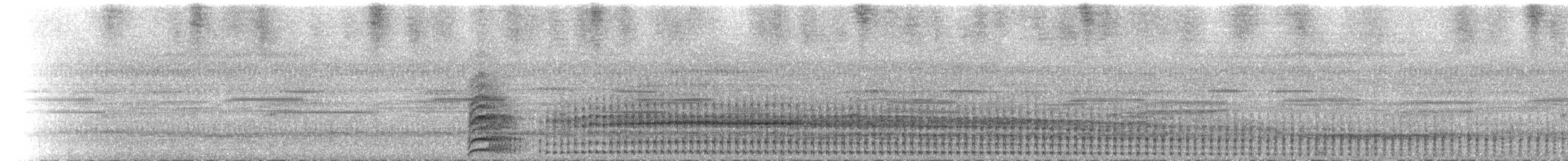 紅腳秧雞 - ML650090098