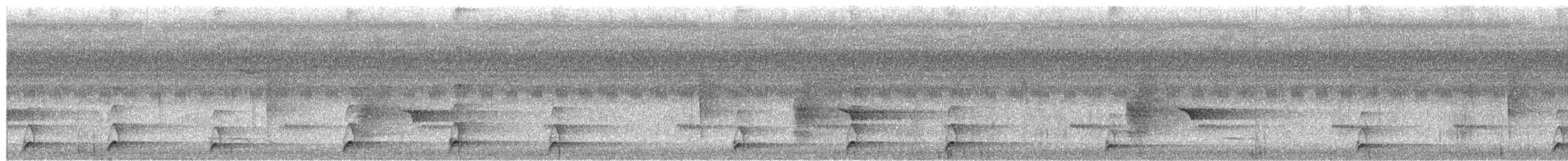 Black-billed Koel - ML650090908