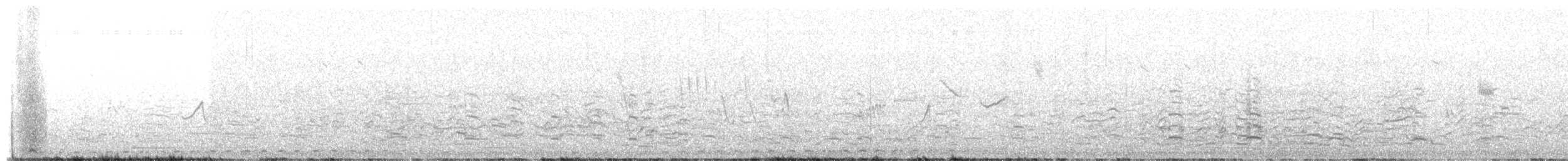 ウィルソンアメリカムシクイ - ML650091298