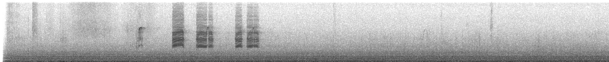 Black Francolin (Eastern) - ML650092593