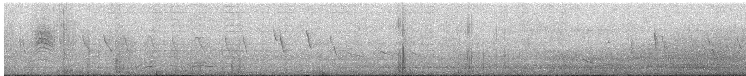 White-browed Gnatcatcher - ML650095494