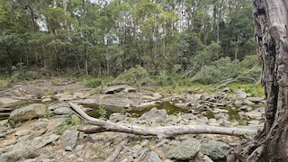 Rocksberg Heritage Park, Moreton Bay, Queensland, Australia - eBird Hotspot