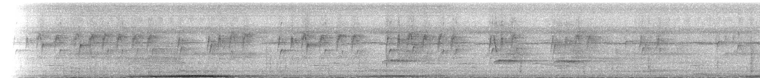 Nicobar Imperial-Pigeon - ML650100333