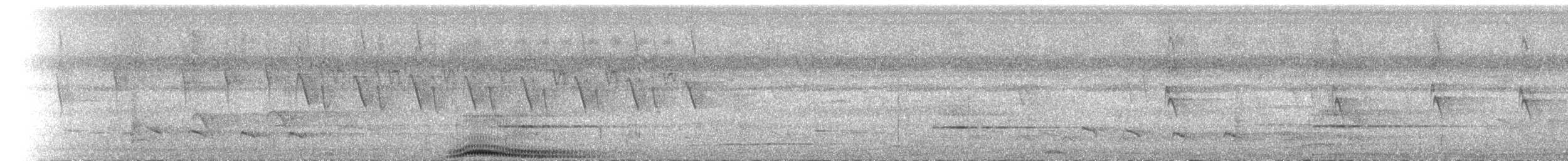 Nicobar Imperial-Pigeon - ML650100340