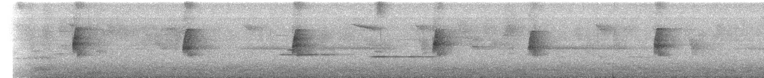 Sclérure à gorge rousse - ML650105014