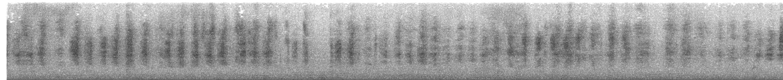 Sedosito Pardo - ML650109206