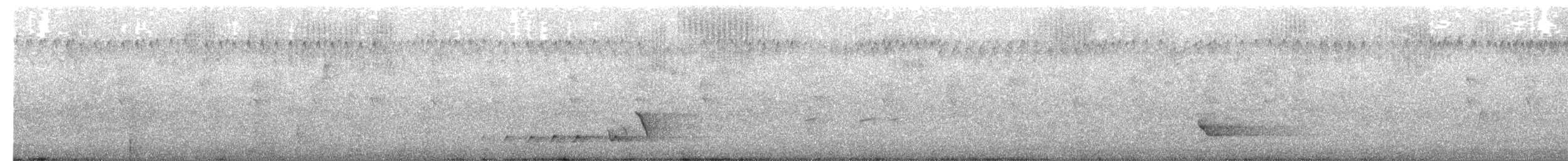 Picanzo Gris - ML650109217