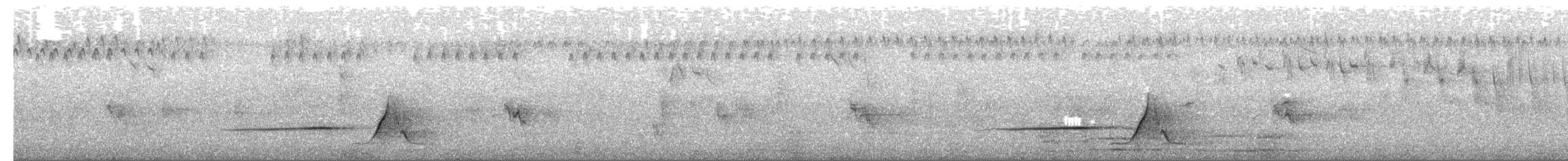 Silbador Oliváceo - ML650109219
