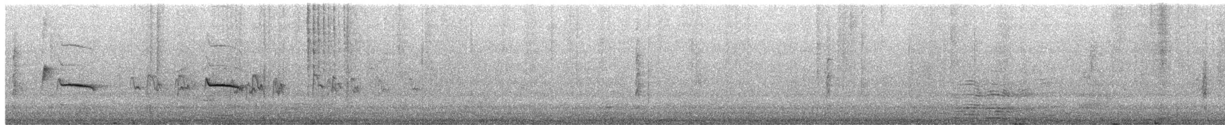 Anteojitos Dorsigrís - ML650113037