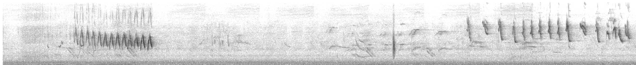 Oruguero Tricolor - ML650113410