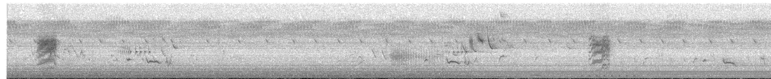 Bush Pipit - ML650113541