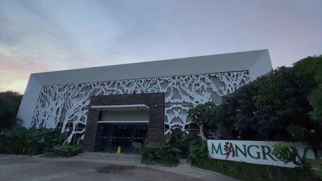 orientstær - ML650114151