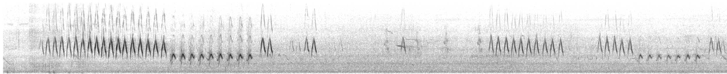 Oruguero Tricolor - ML650115875