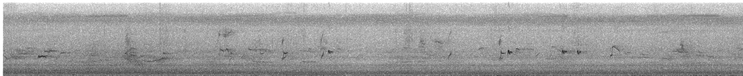 Capuchino Pechicastaño - ML650115879