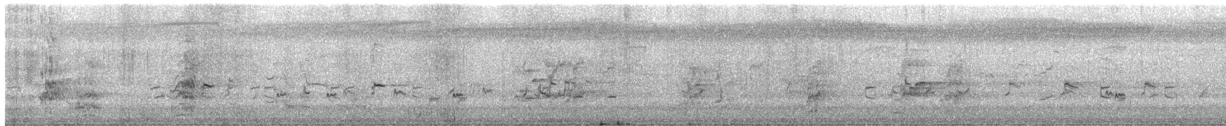 Capuchino Pechicastaño - ML650115883