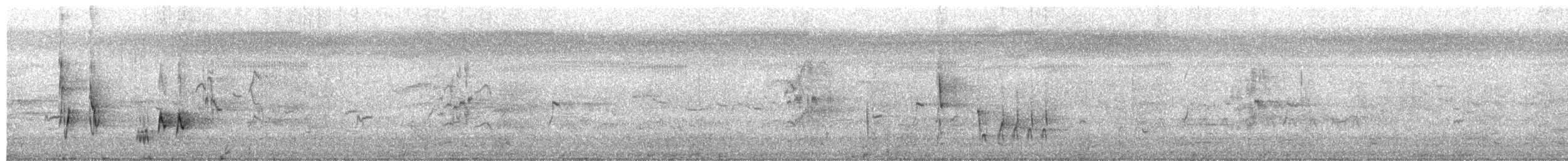 Carricero Australiano - ML650115889