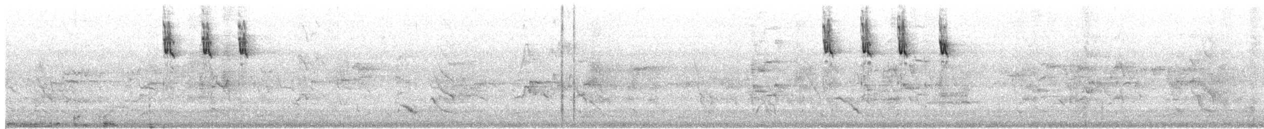 Mielero Escarlata - ML650115897