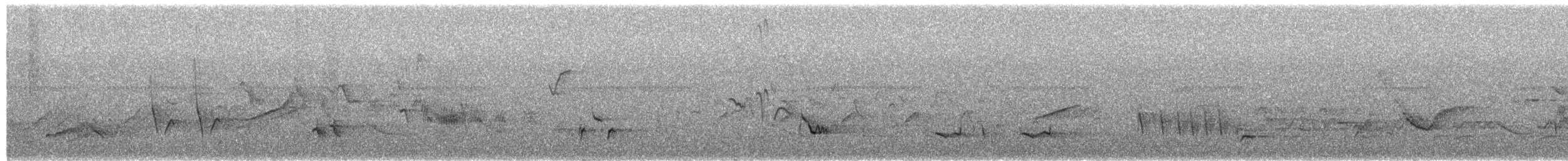 チャイロツグミモドキ - ML650118581