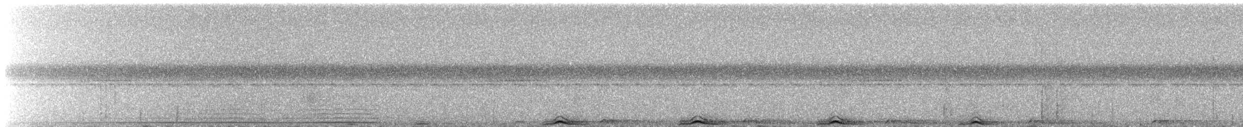 Sprenkelkauz - ML650125747