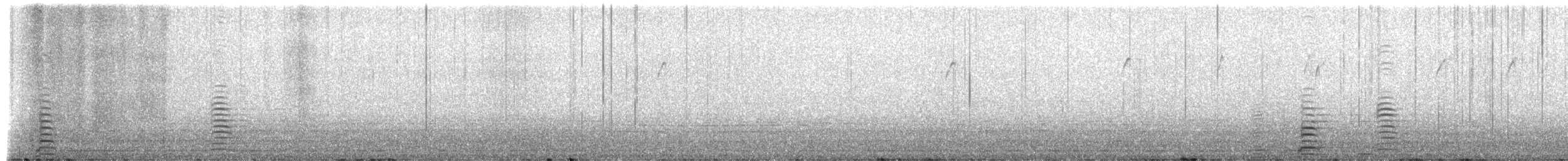 Trumpeter Swan - ML650146340