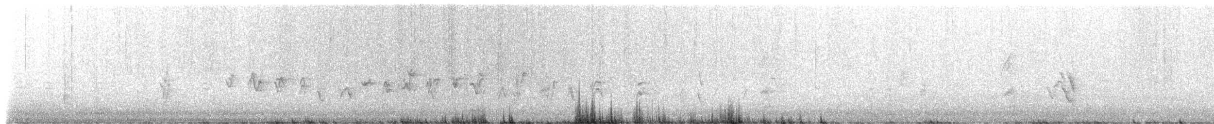 House Finch - ML650150284