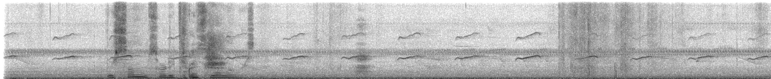 Balbuzard pêcheur - ML650154113