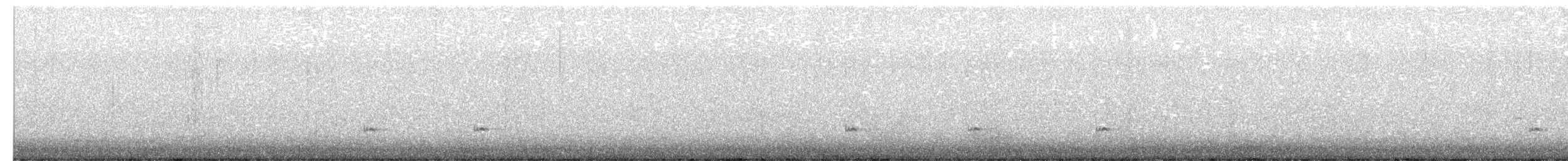 Чирянка мала (підвид carolinensis) - ML650158007