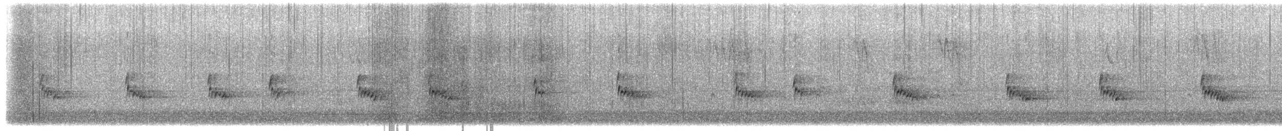 Carolina Wren - ML650164239