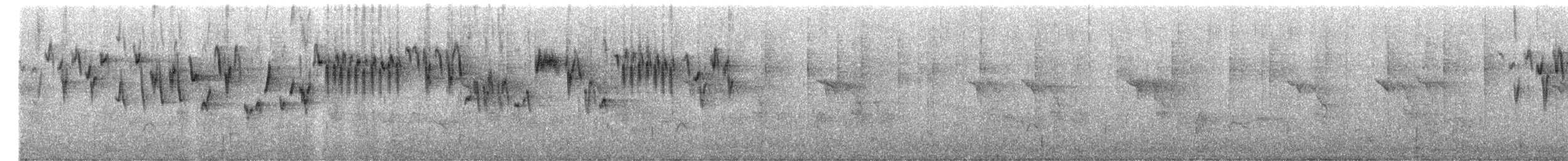 Pacific Wren - ML650171052