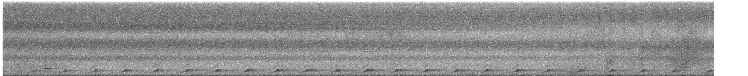 Little Cuckoo-Dove - ML650180064