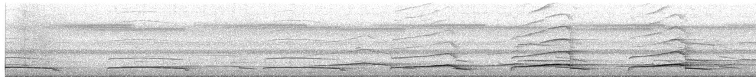 Langschwanztriel - ML650182229