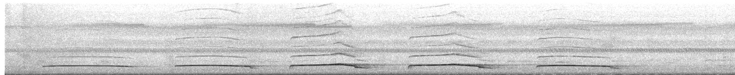 Langschwanztriel - ML650182230