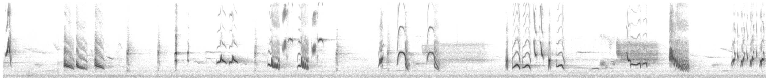 チャイロツグミモドキ - ML650187888