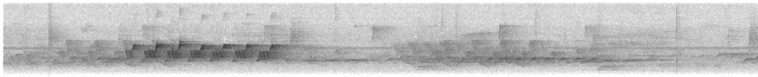 סבכון קנטקי - ML650188898