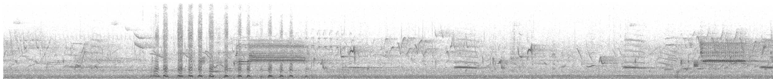 hohol bělavý - ML650190077