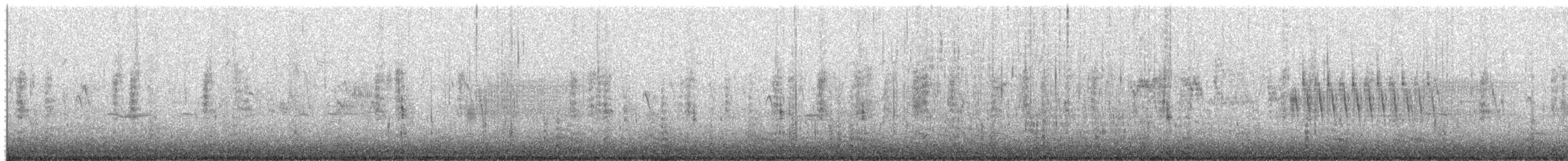 琵嘴鴨 - ML650197753