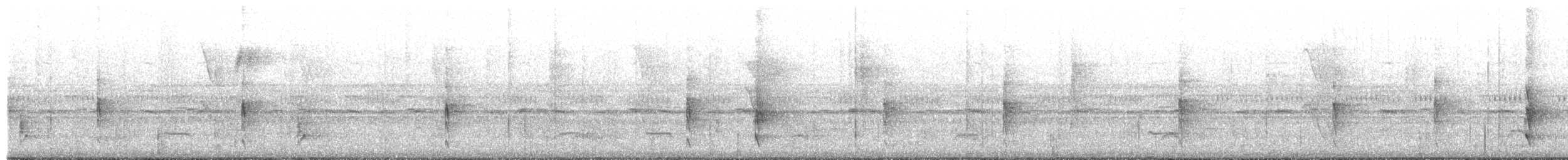 Western Woodhaunter - ML650197957