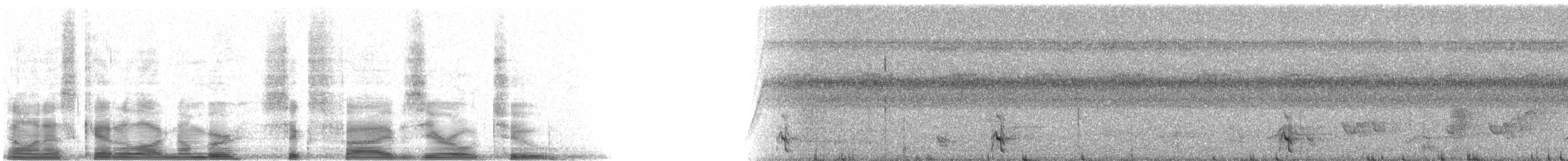 Citreoline Trogon - ML6502